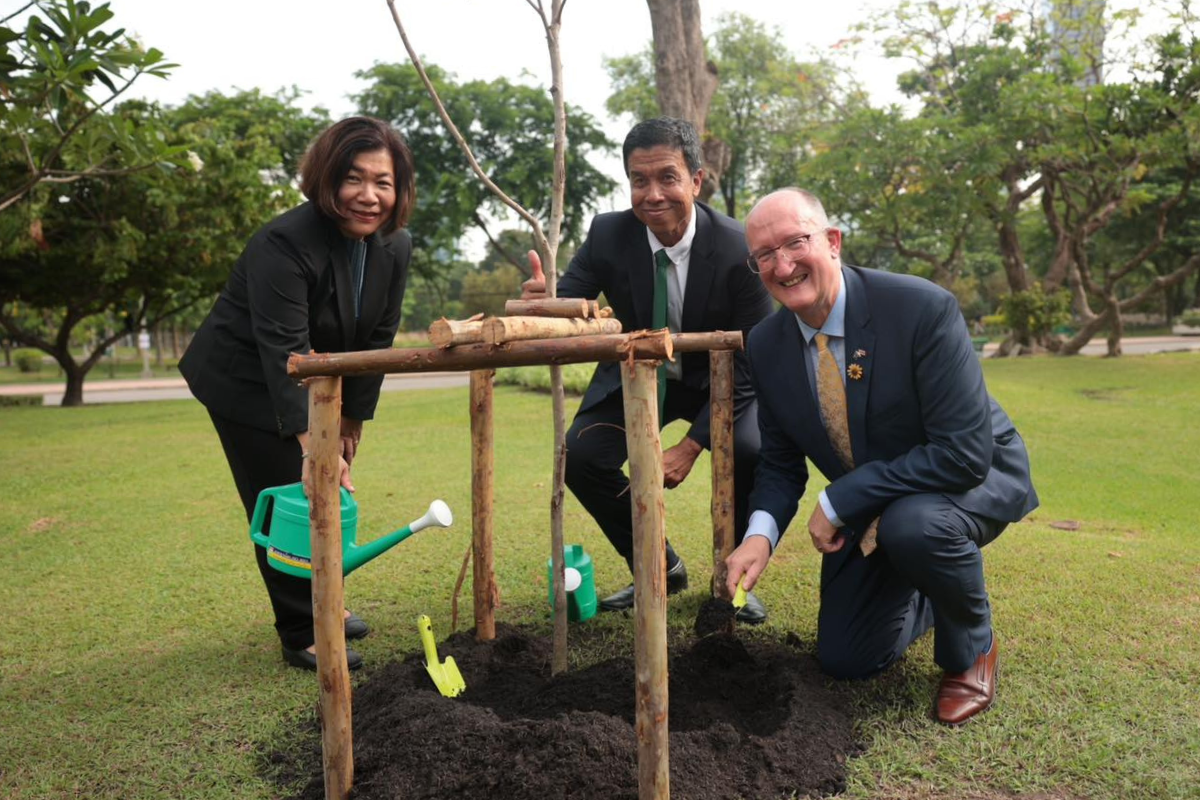 EU plants symbolic trees in Lumphini Park, with donation of 600 across