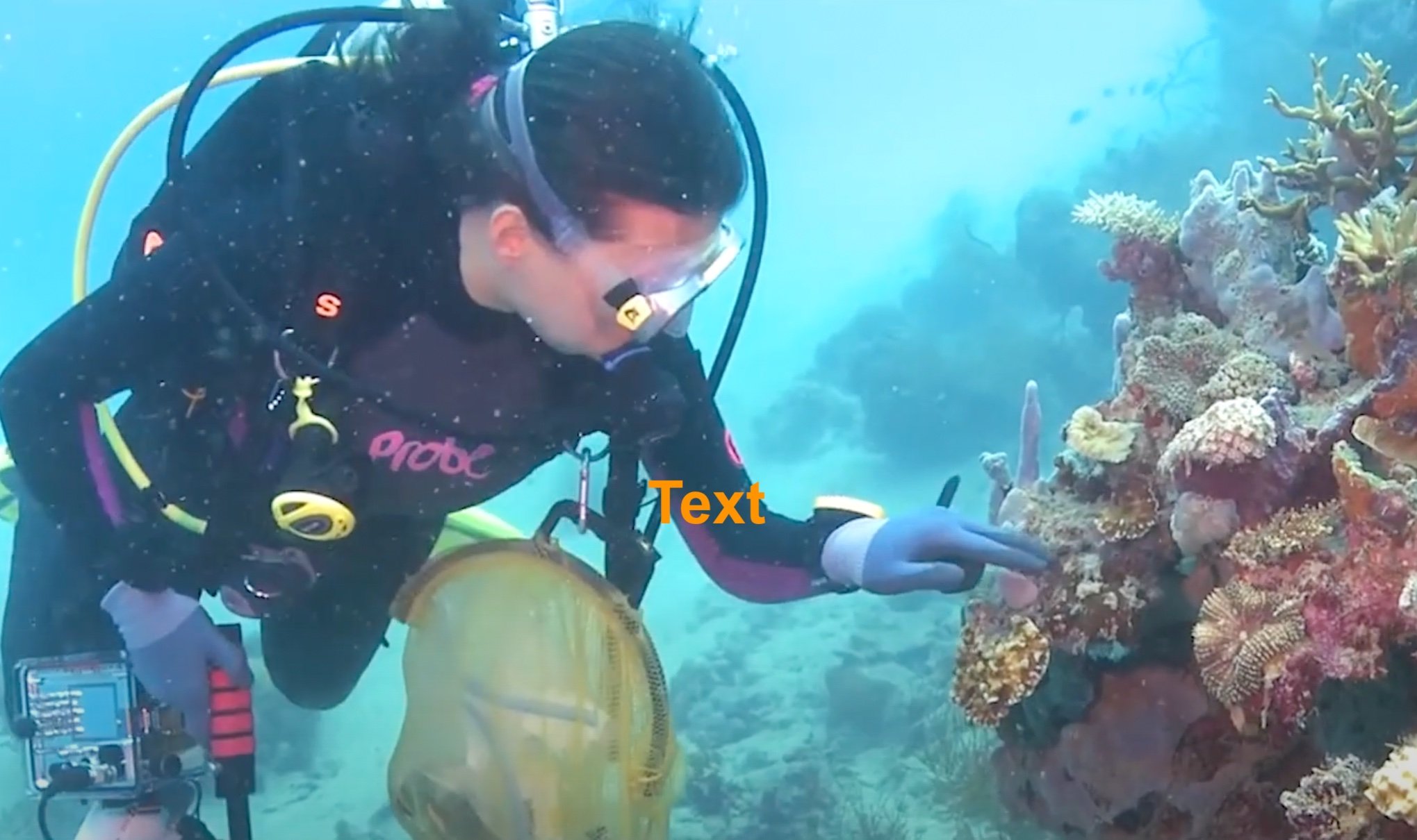 'Ocean Treasures' documentary kicks off sustainability campaign in