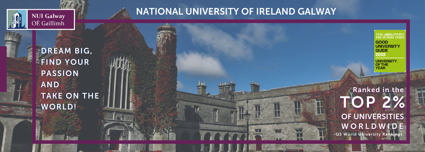 NUI Galway 96%.png